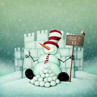 C41 Snow Sale
